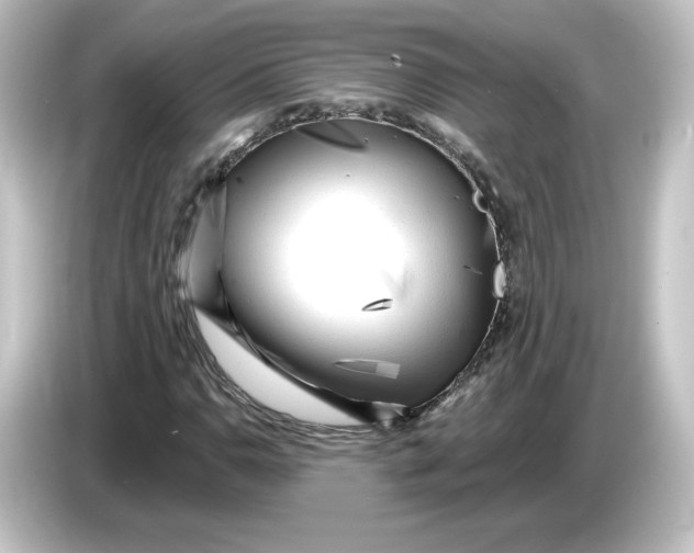 X0000084601110200703161813