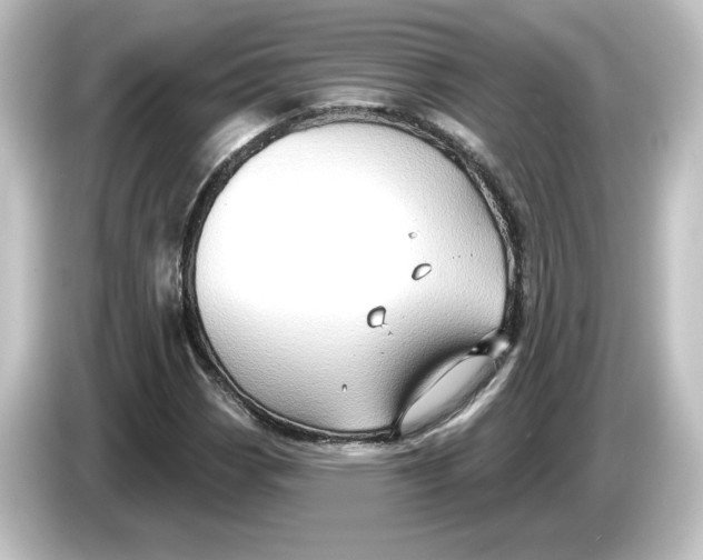 X0000084601113200703161813