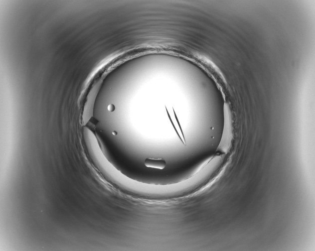 X0000084601114200703161813