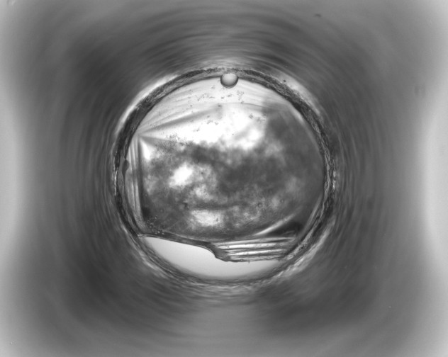 X0000084601117200703161813