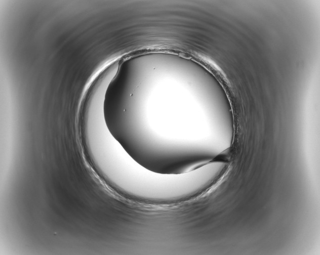 X0000084601122200703161813