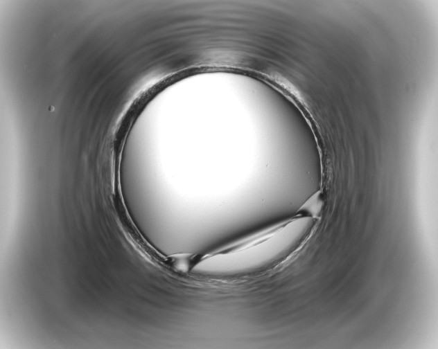 X0000084601123200703161813