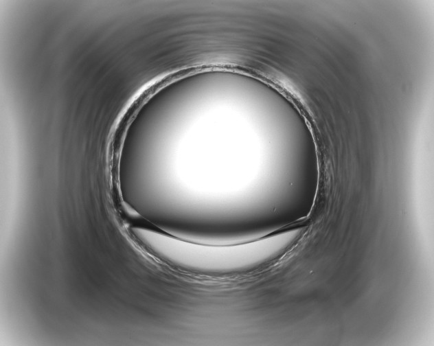 X0000084601124200703161813