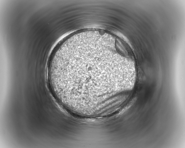 X0000084601125200703161813