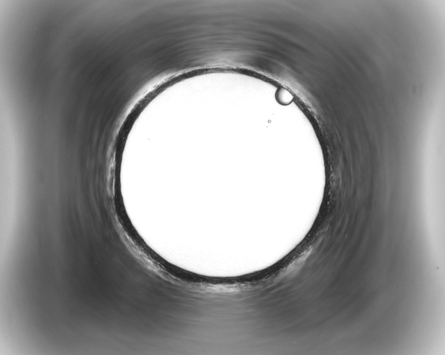 X0000084601126200703161813