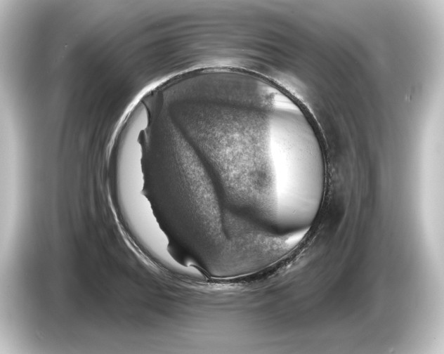 X0000084601127200703161813