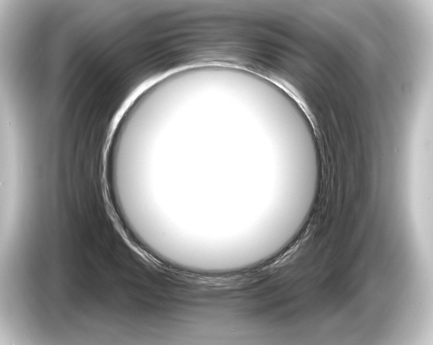 X0000084601128200703161813