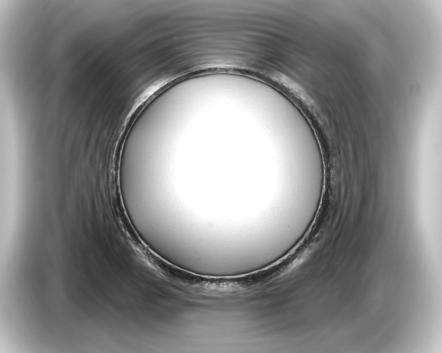 X0000084601129200703161813