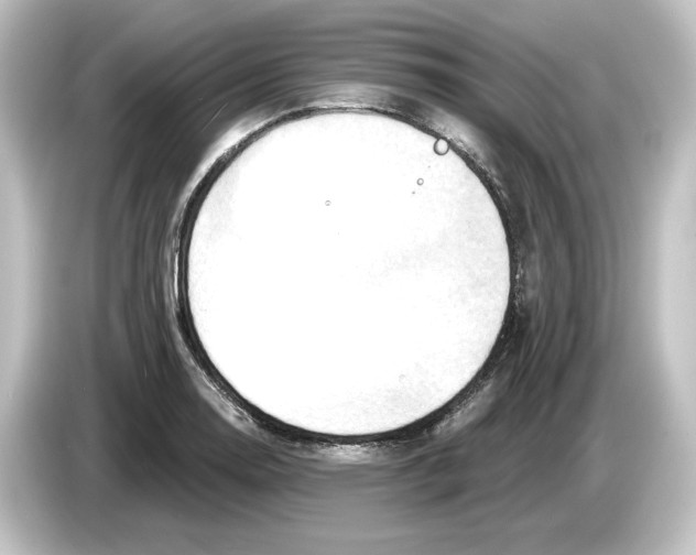 X0000084601130200703161813