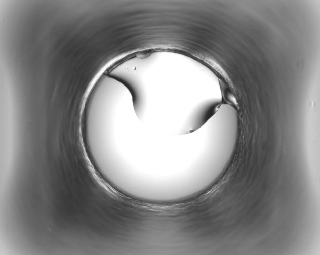 X0000084601132200703161813