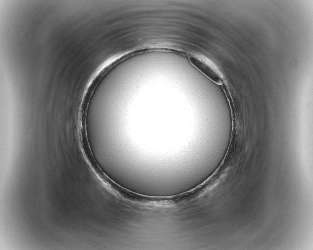 X0000084601133200703161813