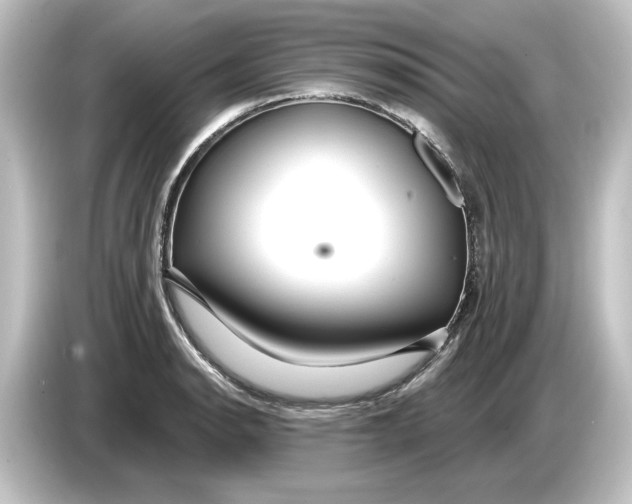 X0000084601134200703161813