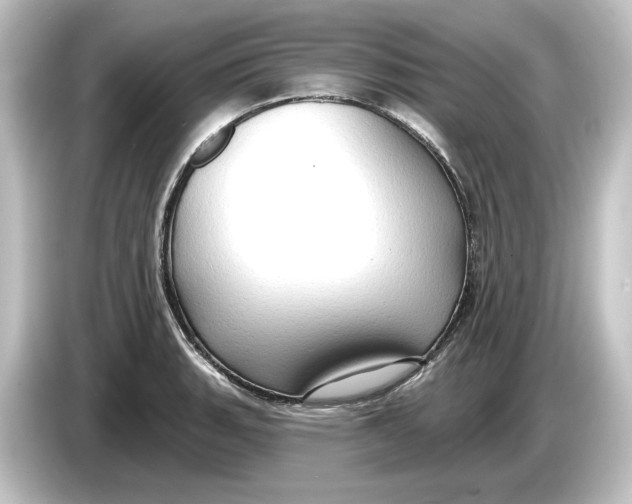 X0000084601135200703161813