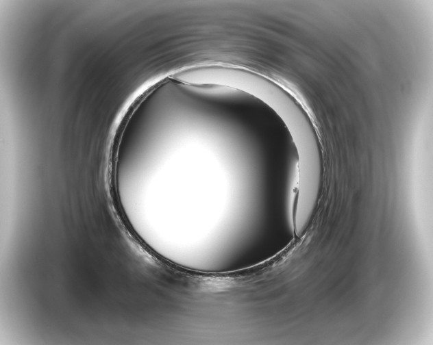 X0000084601136200703161813