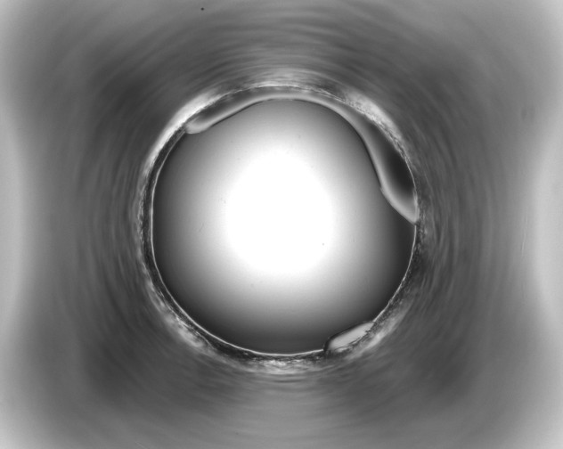 X0000084601138200703161813