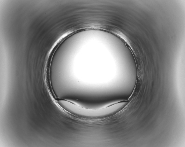 X0000084601139200703161813