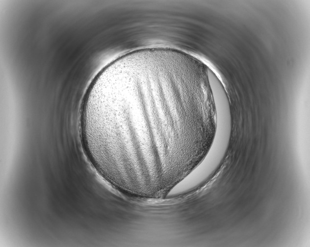 X0000084601142200703161813