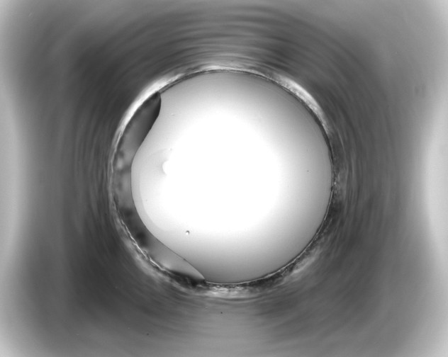 X0000084601146200703161813