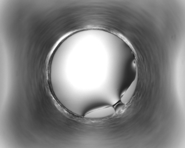 X0000084601148200703161813