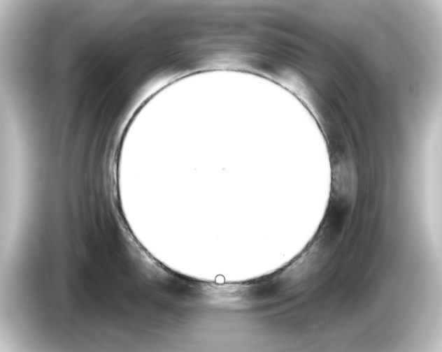 X0000084601150200703161813