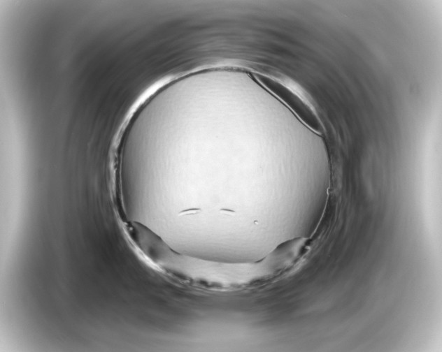 X0000084601151200703161813