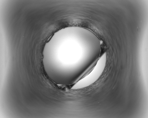 X0000084601153200703161813