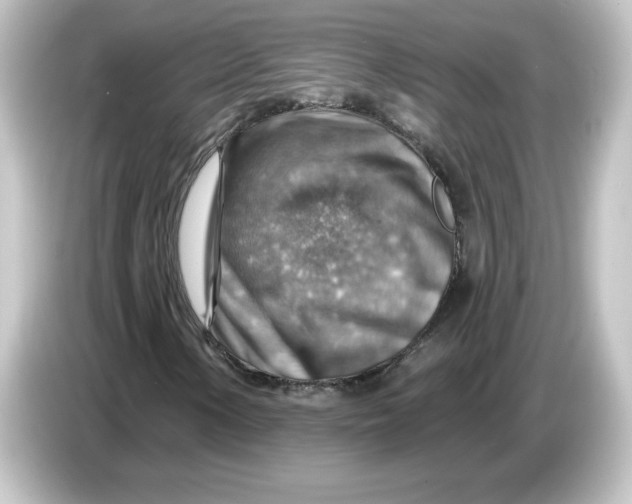 X0000084601154200703161813