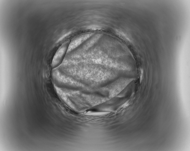 X0000084601158200703161813