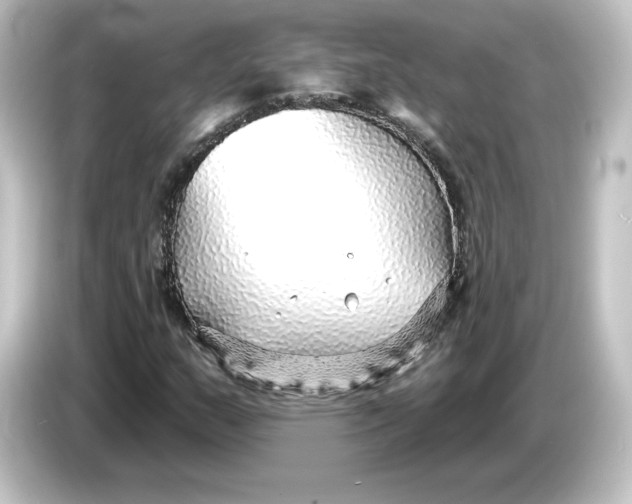 X0000084601159200703161813