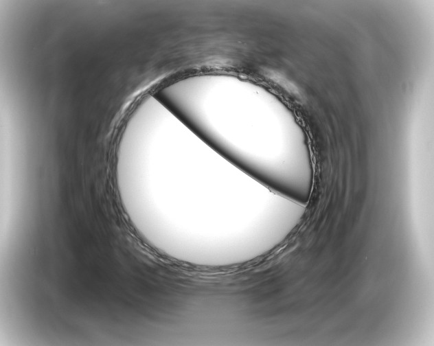 X0000084601160200703161813