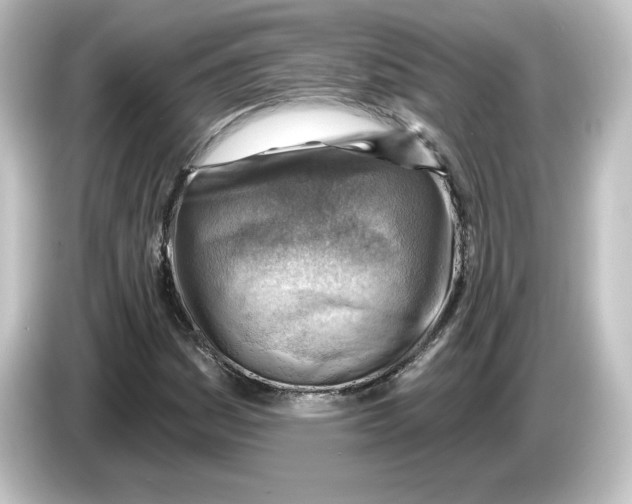 X0000084601161200703161813