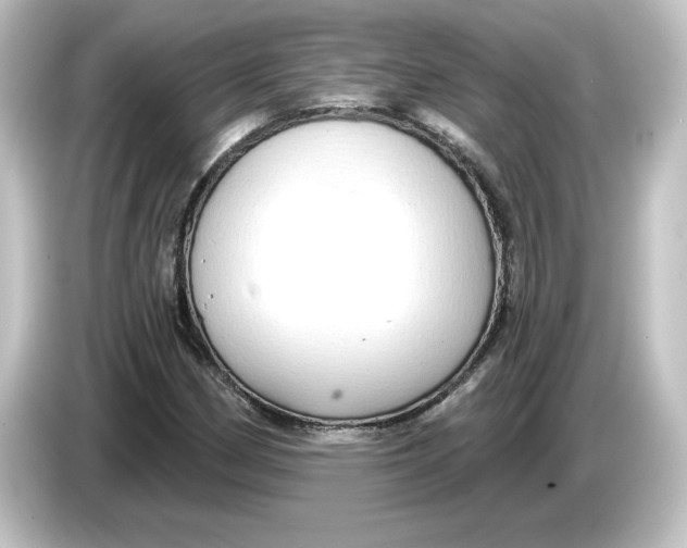 X0000084601162200703161813