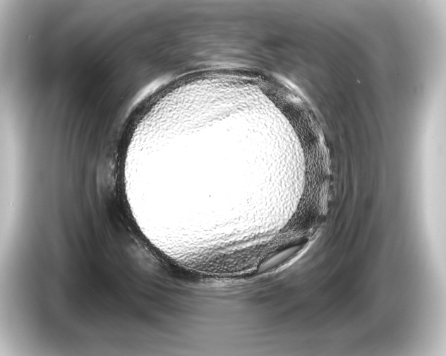 X0000084601163200703161813