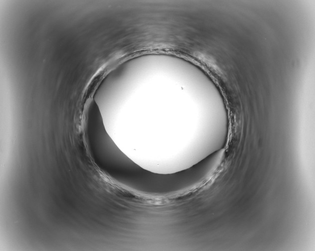 X0000084601165200703161813