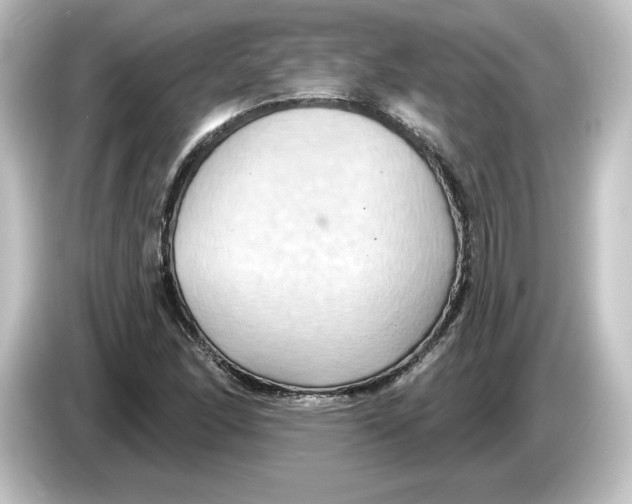 X0000084601166200703161813