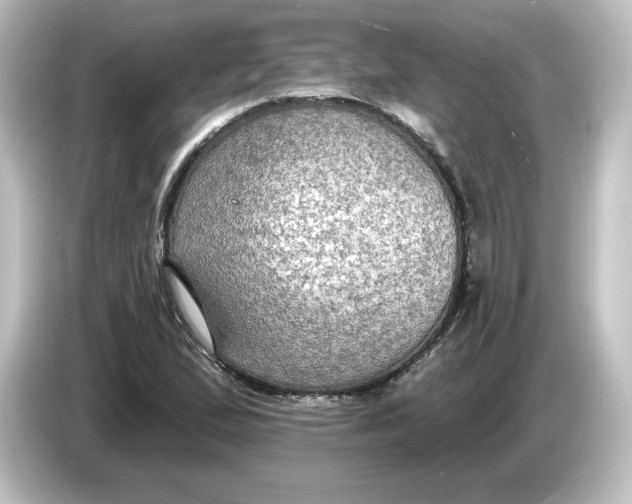 X0000084601167200703161813