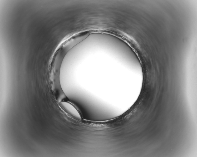 X0000084601168200703161813