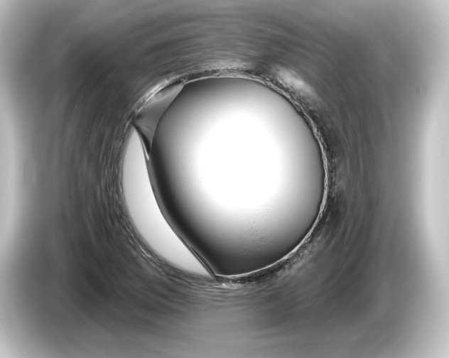 X0000084601169200703161813