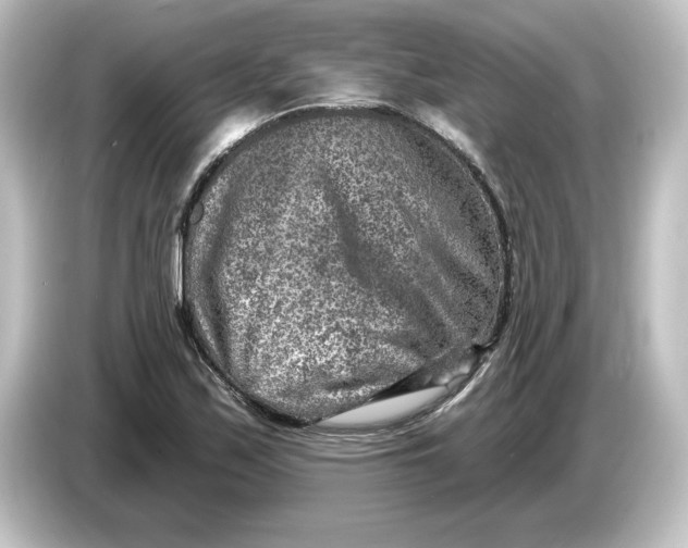 X0000084601171200703161813