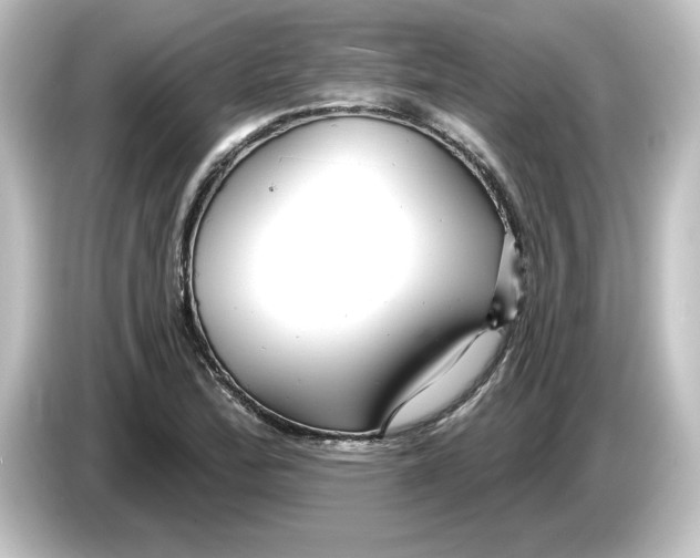 X0000084601172200703161813