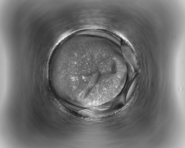 X0000084601173200703161813