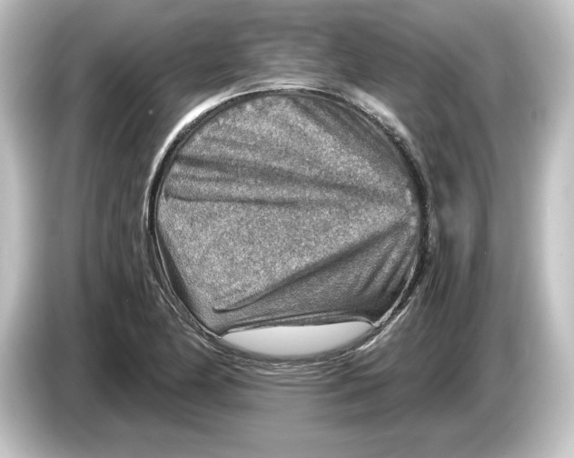 X0000084601174200703161812