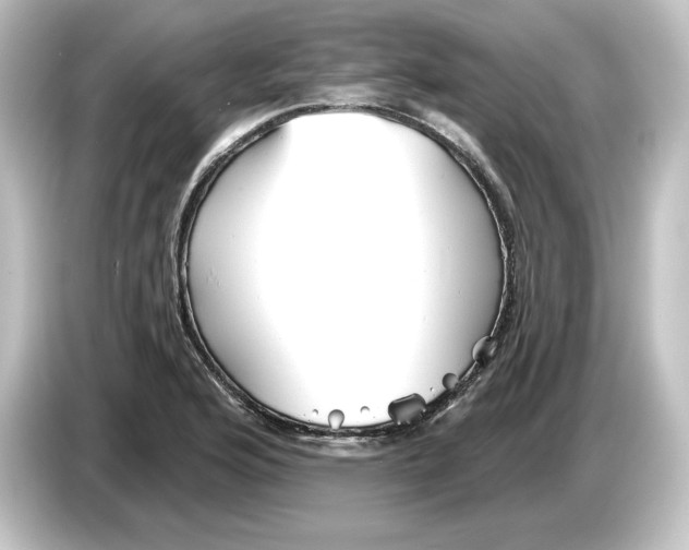 X0000084601176200703161812