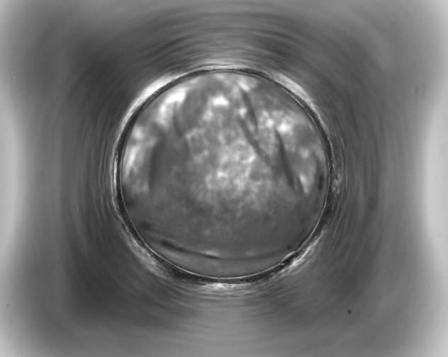 X0000084601179200703161812