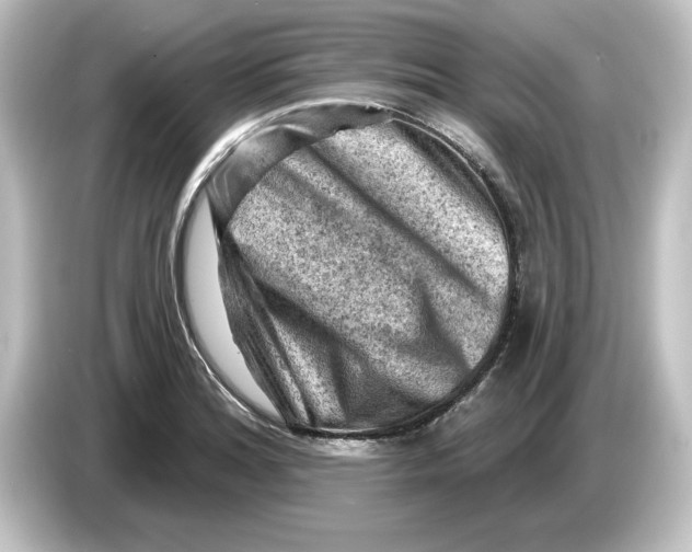 X0000084601180200703161812