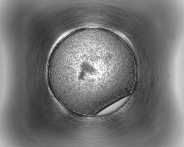 X0000084601183200703161812