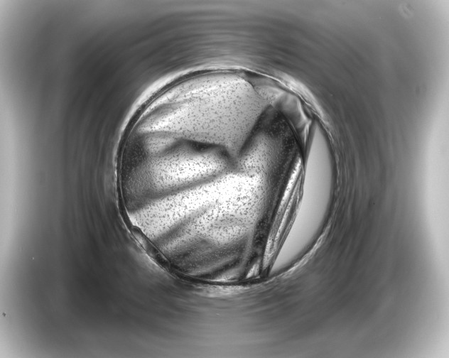 X0000084601184200703161812