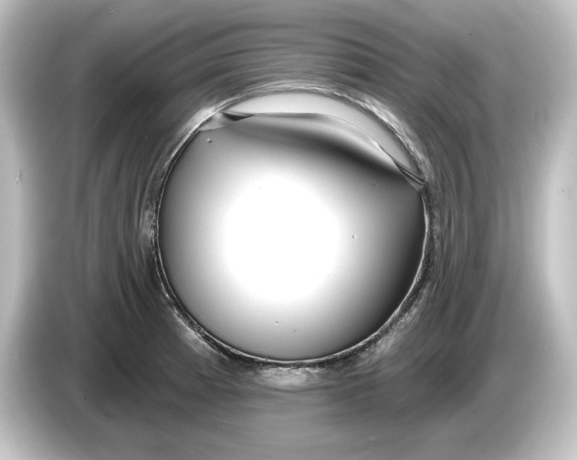 X0000084601185200703161812