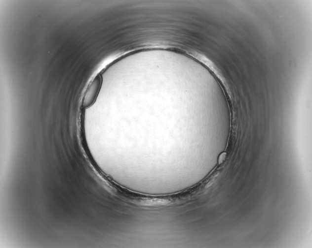 X0000084601187200703161812