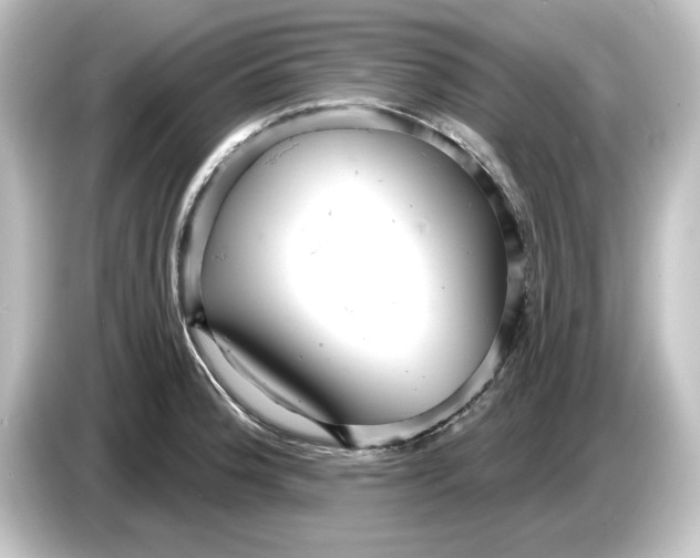 X0000084601188200703161812